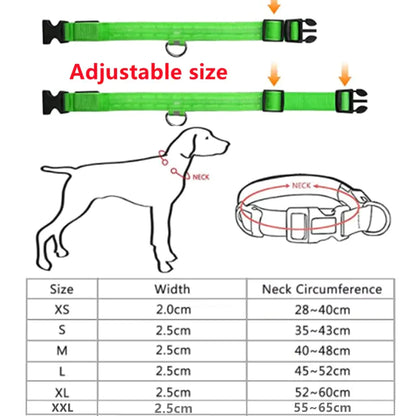 Padoxa™ LumoLus Band -  Oplaadbare Lichtgevende Halsband